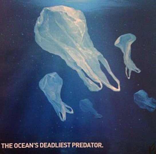 The Ocean's Deadliest Predator Project AWARE Foundation