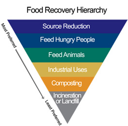 Food Waste Hierarchy