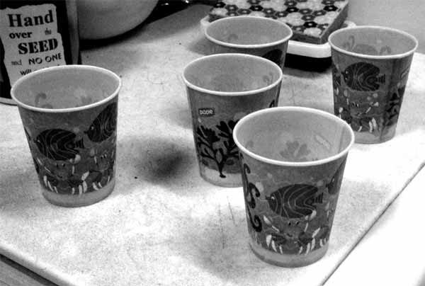 Dixie Cups from a Wasteful wife or husband