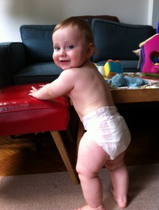 Reusable cloth baby diapers