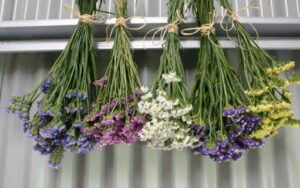 Hang flowers upside to preserve them and use as decoration for your home. (Image Credit: proflowers.com)