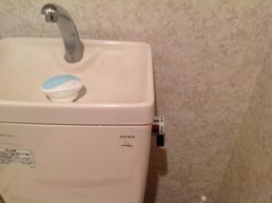 conserve water with gray water sinks