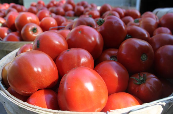 Fresh plump tomatoes in baskets 