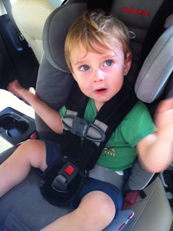 Convertible car seats could help ease the problem of child car seat waste. Learn more about the Diono Radian RXT car seat that the author has chosen for her child