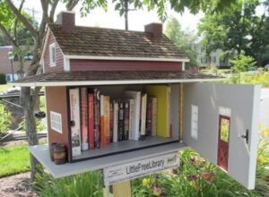 Share books at Little Free Library