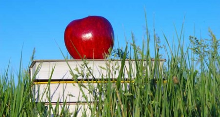 Reuse school supplies for September