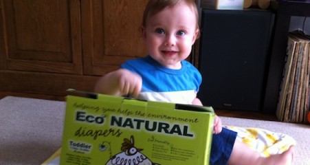 Nature's Premiere Diaper Service NYC compost