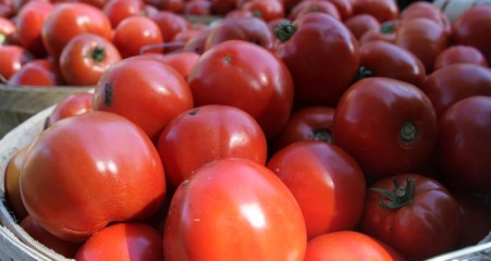 Fresh plump tomatoes in baskets