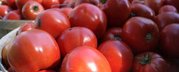 Fresh plump tomatoes in baskets