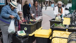 Composting food scraps in NYC