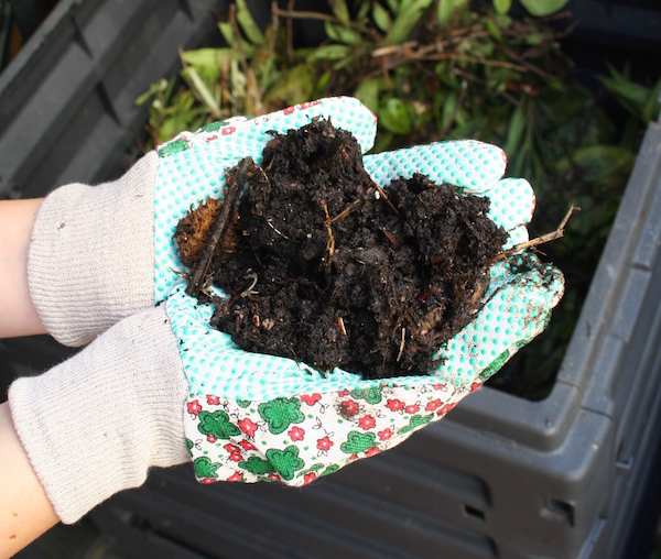 soil from compost