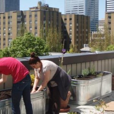 Composting on an urban terrace provides nutrient-rich soil for plants
