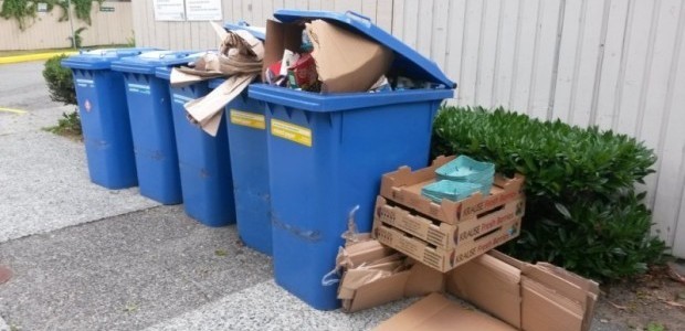 recycling bins overflowing - We Hate To Waste
